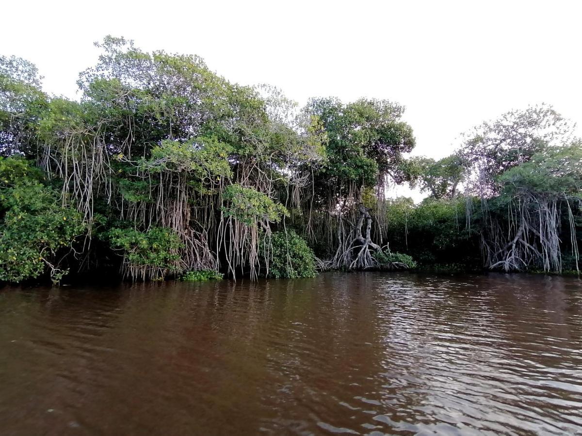 Don Luis Hostal - Sucursal Galeana - Tecolutla Buitenkant foto